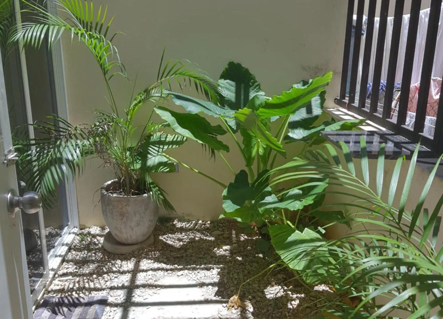 Casa Girasol Tulum Lejlighed