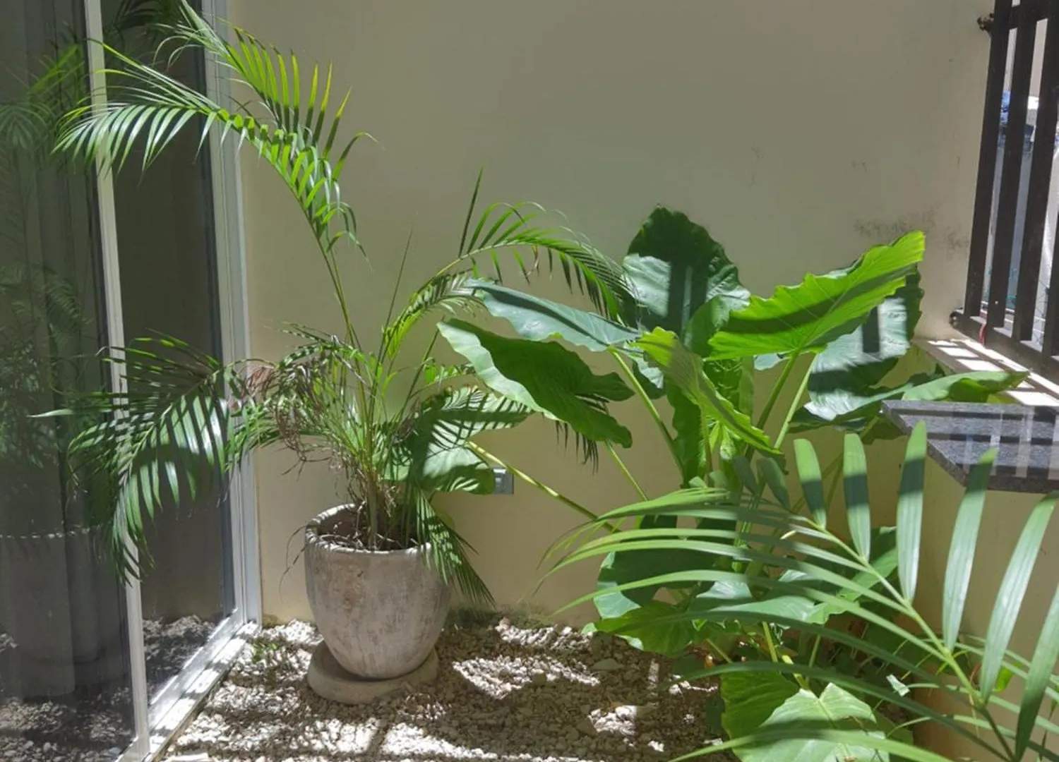 דירות Casa Girasol טולום מקסיקו